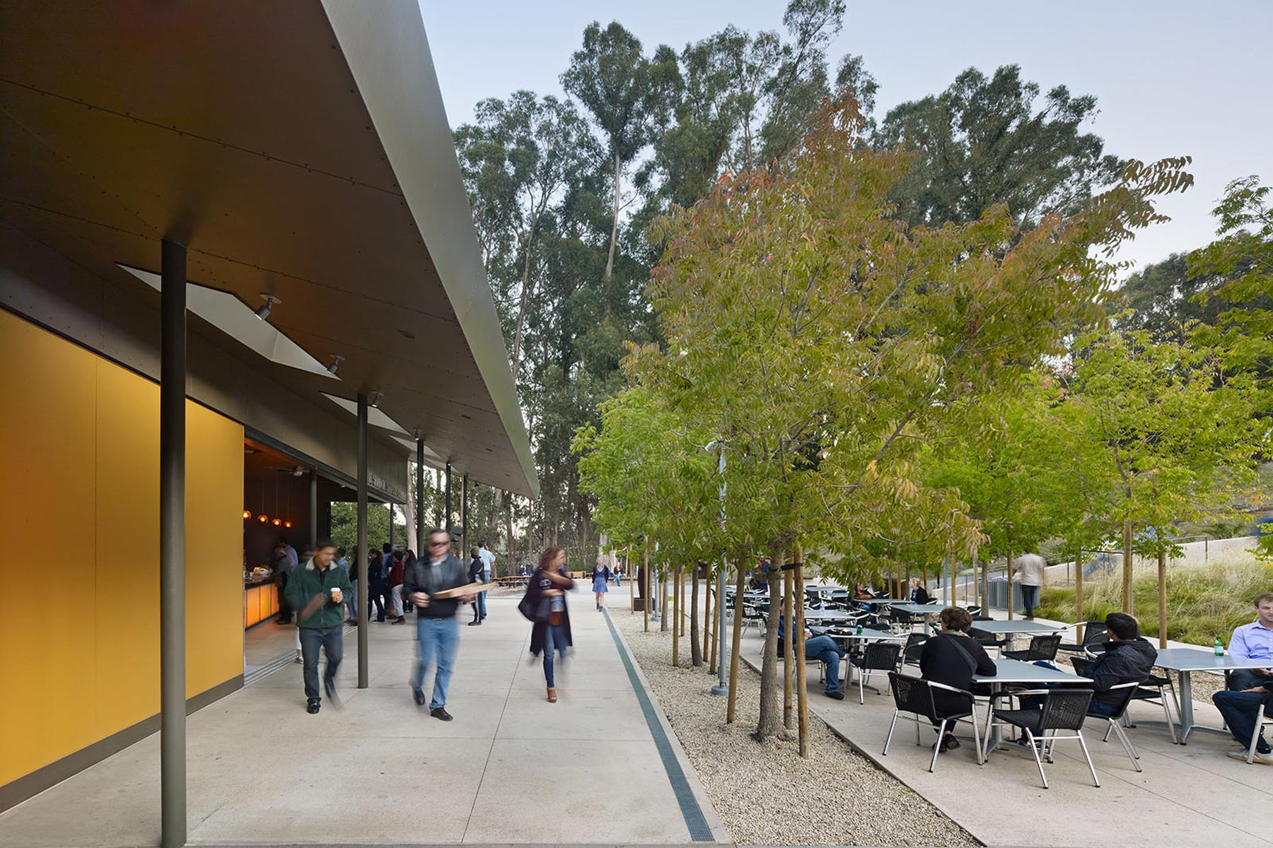 The Sharon Simpson Center at the California Shakespeare Theater, located in the San Francisco Bay Area, encourages environmental stewardship and sustainable goals by utilizing a living roof and being integrated into the natural landscape of the site.