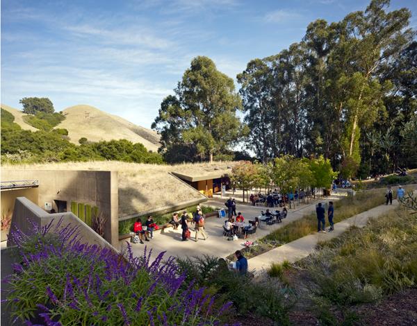 The Sharon Simpson Center at the California Shakespeare Theater, located in the San Francisco Bay Area, encourages environmental stewardship and sustainable goals by utilizing a living roof and being integrated into the natural landscape of the site.